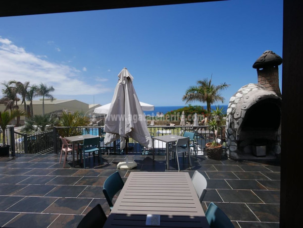 casa-o-chalet-independiente-en-venta-en-playa-paraiso-big-13