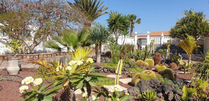 casa-o-chalet-en-venta-en-calle-gran-canaria-big-13