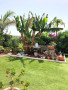 casa-o-chalet-independiente-en-venta-en-costa-del-silencio-las-galletas-small-9