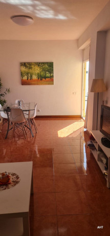 piso-en-venta-en-avenida-de-suecia-23-big-1