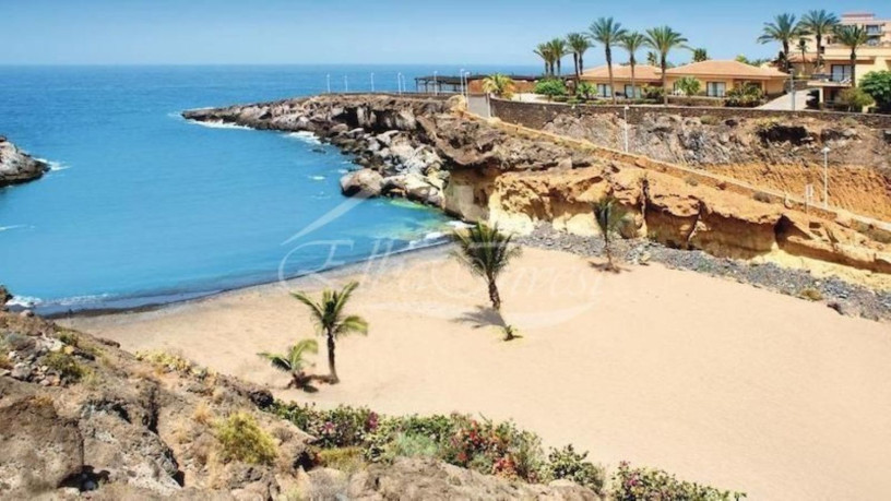 piso-en-venta-en-playa-paraiso-big-28