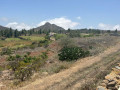 finca-rustica-en-venta-en-vilaflor-small-3