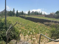 finca-rustica-en-venta-en-vilaflor-small-5