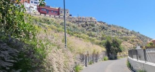 Santa Cruz de Tenerife