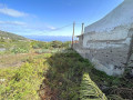 finca-rustica-en-venta-en-la-vega-el-amparo-cueva-del-viento-small-8