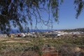 santa-cruz-de-tenerife-small-9