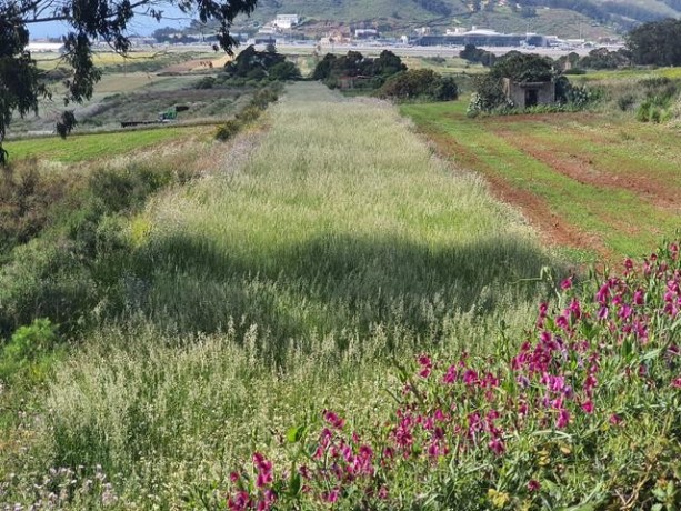 san-cristobal-de-la-laguna-carretera-big-2