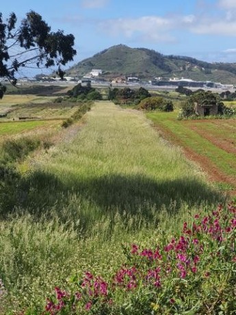 san-cristobal-de-la-laguna-carretera-big-3