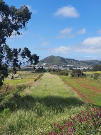 san-cristobal-de-la-laguna-carretera-big-4