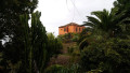 finca-rustica-en-venta-en-camino-el-reventon-56-small-11