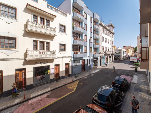 piso-en-venta-en-la-laguna-big-29