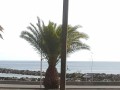 santa-cruz-de-tenerife-small-13