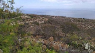 Fasnia - LA HOYA DEL AGUA