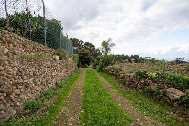 cueva-del-viento-big-26