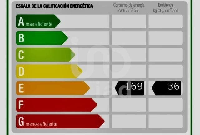 arona-big-23