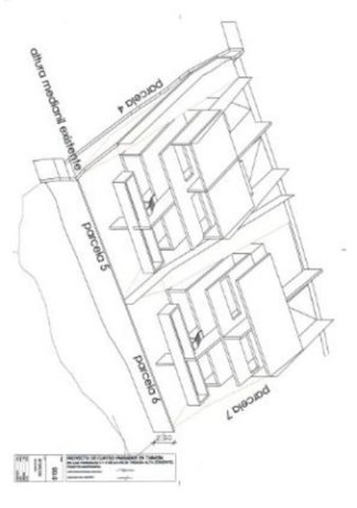 tabaiba-alta-big-14