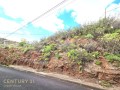 santa-cruz-de-tenerife-small-5