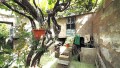 icod-de-los-vinos-small-14