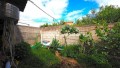 icod-de-los-vinos-small-12