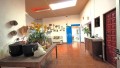 icod-de-los-vinos-small-4