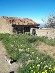 Finca rústica en venta en calle El Lance, 72