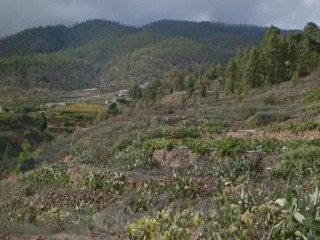 Granadilla de Abona