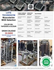 Lote gimnasio technogym selection