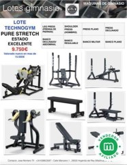 Lote technogym pure strecht