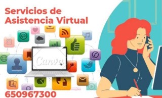 Servicios de asitencia virtual