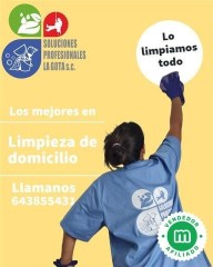 Limpieza de comunidades y domicilios.