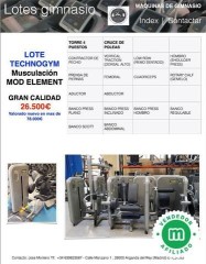 LOTE GIMNASIO TECHNOGYM