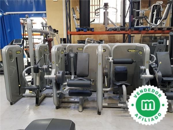 lote-gimnasio-technogym-big-1