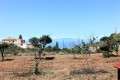 finca-rustica-en-venta-en-tijoco-small-1