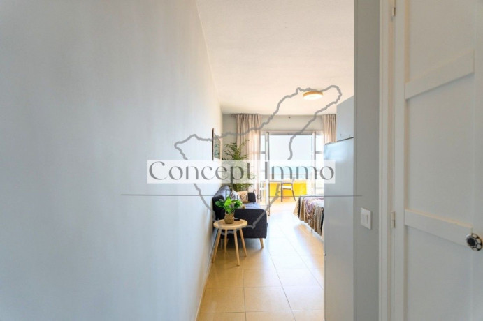 estudio-en-venta-en-calle-antonio-navarro-1-big-13