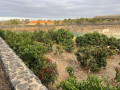 finca-rustica-en-venta-en-callao-salvaje-small-5