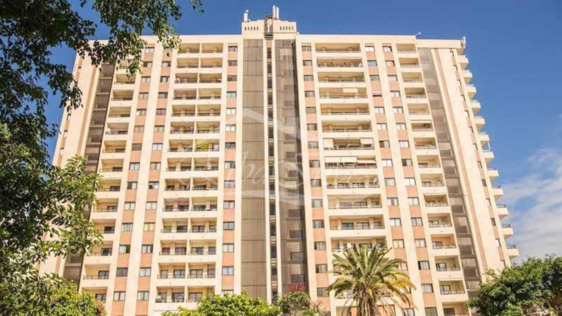 piso-en-venta-en-playa-paraiso-big-26