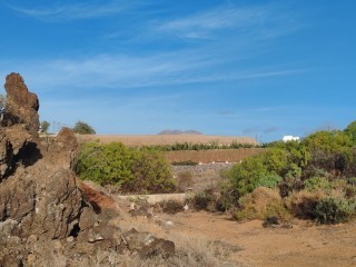 cueva-del-polvo-sur-big-8