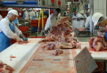 operario-u-operaria-carnica-incorporacion-inmediata-small-0
