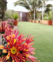 finca-para-eventos-tenerife-alquiler-disponible-small-4