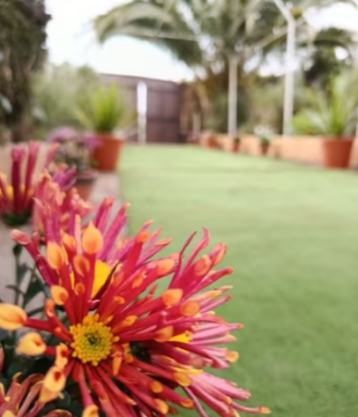 finca-para-eventos-tenerife-alquiler-disponible-big-4