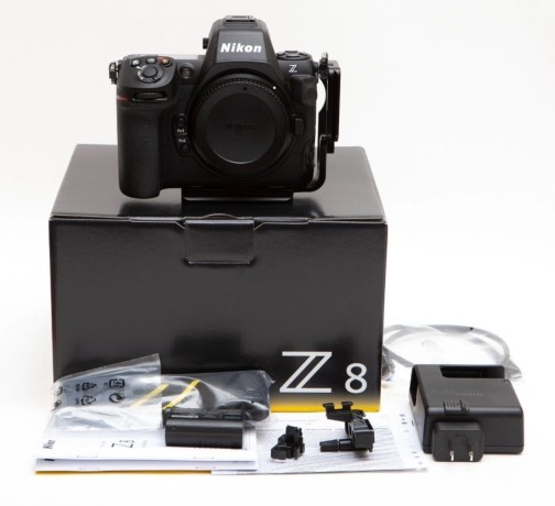 canon-eos-r6-mark-ii-canon-eos-r3-canon-eos-r5-nikon-z9-nikon-z8-nikon-z-7ii-nikon-z7-nikon-d6-nikon-d850-big-12