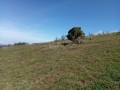 finca-en-moya-31616-m2-oportunidad-small-2