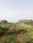 finca-en-moya-31616-m2-oportunidad-small-11
