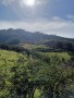 finca-en-moya-31616-m2-oportunidad-small-0