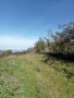 finca-en-moya-31616-m2-oportunidad-small-4