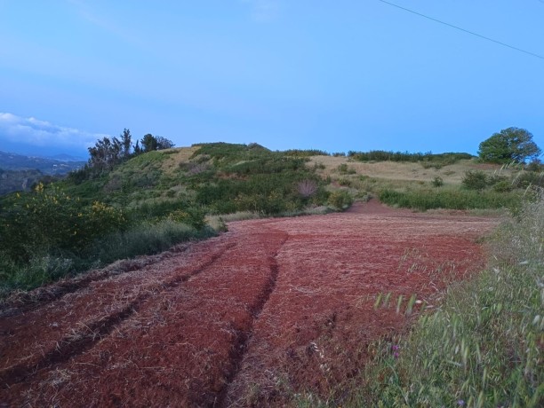 finca-en-moya-31616-m2-oportunidad-big-10