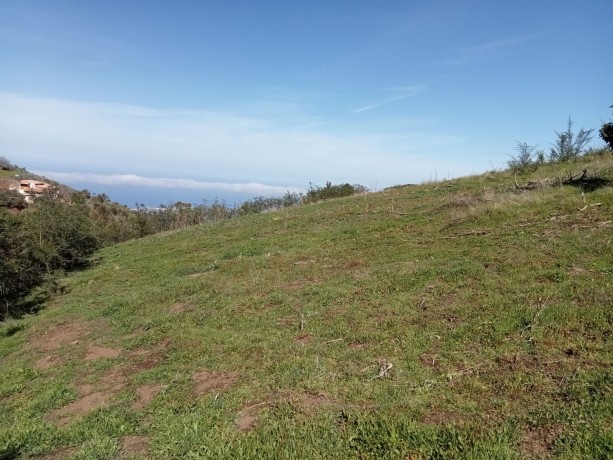 finca-en-moya-31616-m2-oportunidad-big-3
