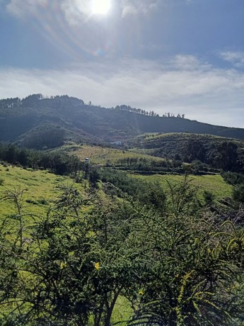 finca-en-moya-31616-m2-oportunidad-big-0