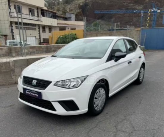 seat-ibiza-10-ecotsi-70kw-95cv-reference-big-1
