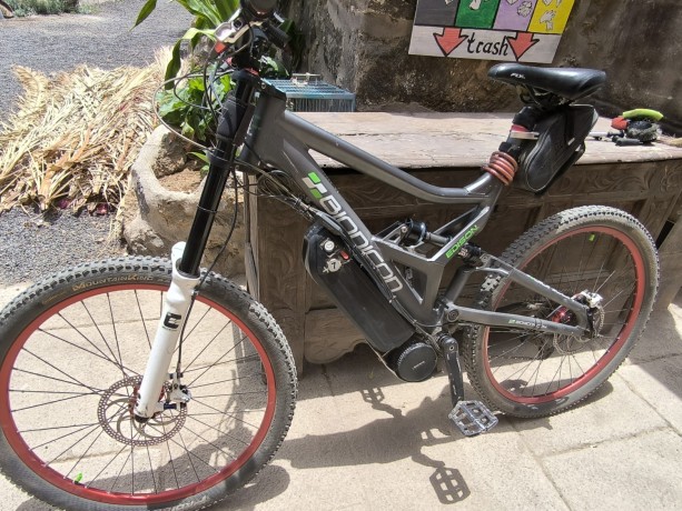 e-mtb-bionicon-evo-big-12
